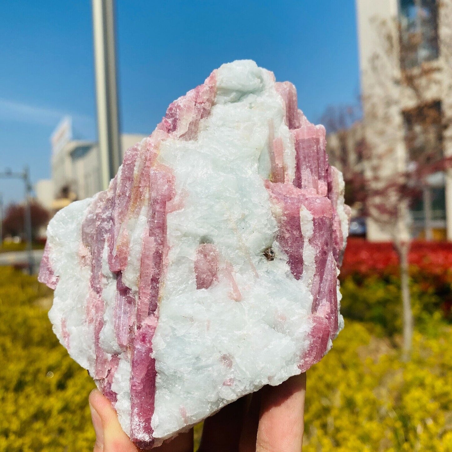 Natural Pink Tourmaline Rubellite Crystal Stone - Ashae's Essentials